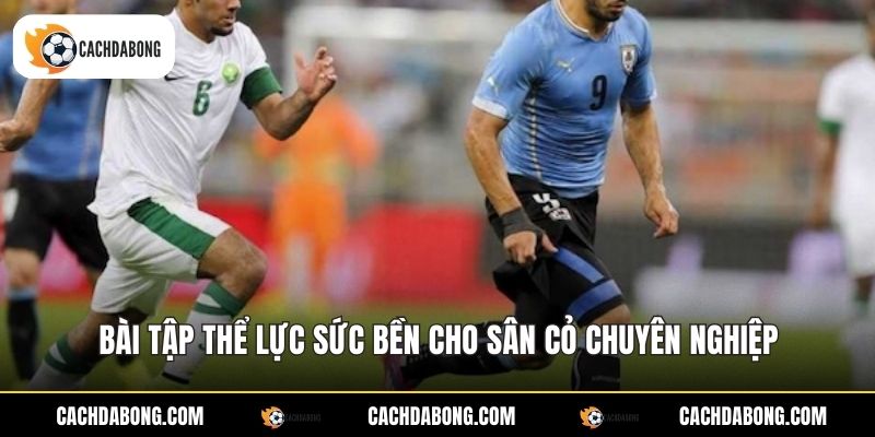 Bài tập thể lực sức bền cho sân cỏ chuyên nghiệp