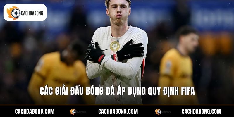Các giải đấu bóng đá áp dụng quy định FIFA