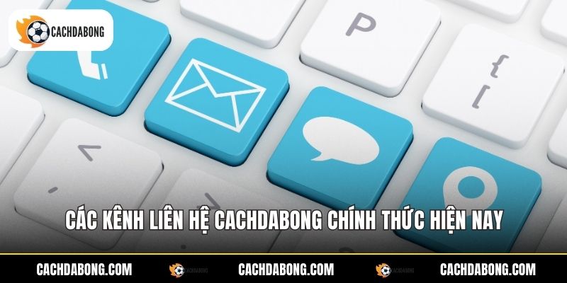 Các kênh liên hệ Cachdabong chính thức hiện nay