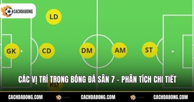Các Vị Trí Trong Bóng Đá Sân 7 - Phân Tích Chi Tiết