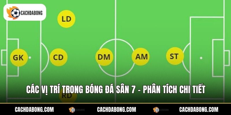Các Vị Trí Trong Bóng Đá Sân 7 - Phân Tích Chi Tiết