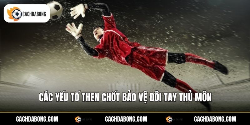 Thủ Môn Khi Bắt Bóng Muốn Không Đau Tay - Kỹ Thuật Chuẩn 3 Các yếu tố then chốt bảo vệ đôi tay thủ môn