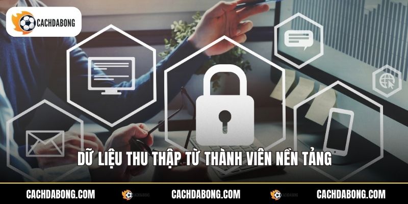 Dữ liệu thu thập từ thành viên nền tảng