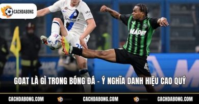 Goat Là Gì Trong Bóng Đá - Ý Nghĩa Danh Hiệu Cao Quý