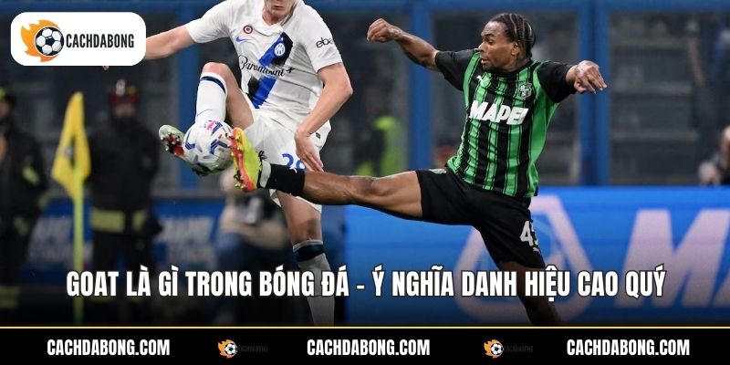 Goat Là Gì Trong Bóng Đá - Ý Nghĩa Danh Hiệu Cao Quý