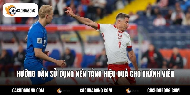 Hướng dẫn sử dụng nền tảng hiệu quả cho thành viên