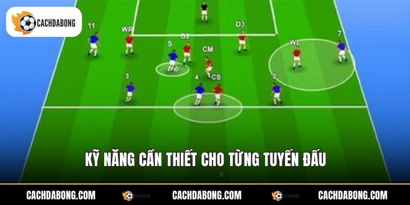 Kỹ năng cần thiết cho từng tuyến đấu