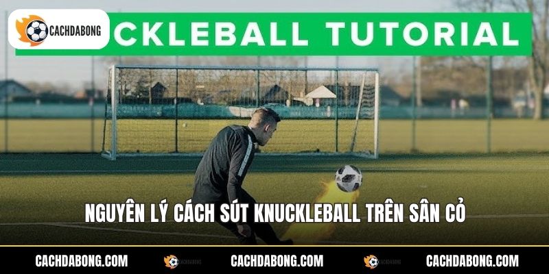 Cách Sút Knuckleball - Kỹ Thuật Sút Bóng Xoáy Hiệu Quả 2 Nguyên lý cách sút Knuckleball trên sân cỏ