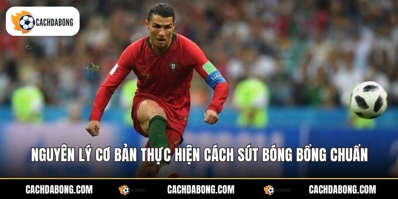 Nguyên lý cơ bản thực hiện cách sút bóng bổng chuẩn