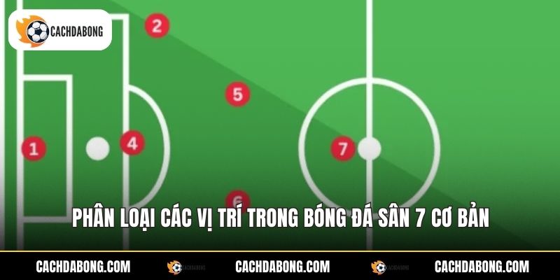 Phân loại các vị trí trong bóng đá sân 7 cơ bản