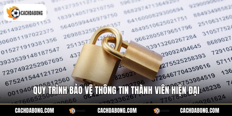 Quy trình bảo vệ thông tin thành viên hiện đại