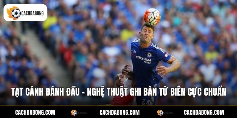 tat canh danh dau nghe thuat ghi ban tu bien cuc chuan