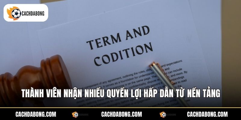 Thành viên nhận nhiều quyền lợi hấp dẫn từ nền tảng