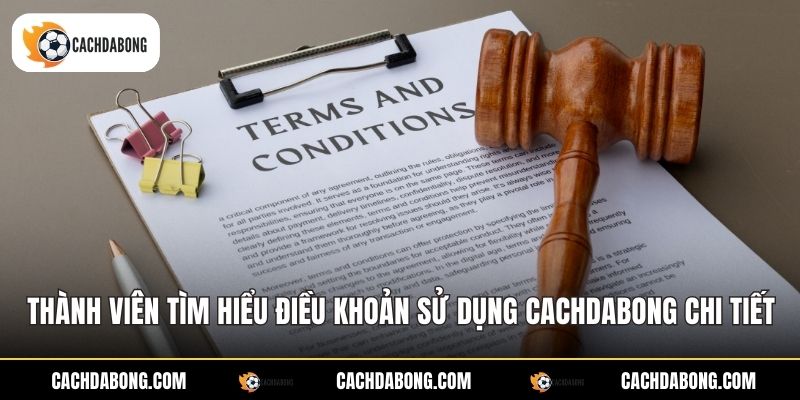 Thành viên tìm hiểu điều khoản sử dụng Cachdabong chi tiết