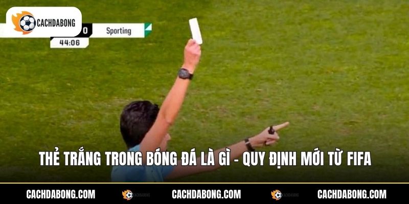 Thẻ Trắng Trong Bóng Đá Là Gì - Quy Định Mới Từ FIFA