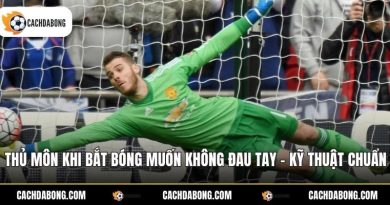 Thủ Môn Khi Bắt Bóng Muốn Không Đau Tay - Kỹ Thuật Chuẩn