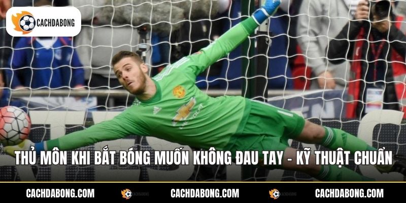 Thủ Môn Khi Bắt Bóng Muốn Không Đau Tay - Kỹ Thuật Chuẩn