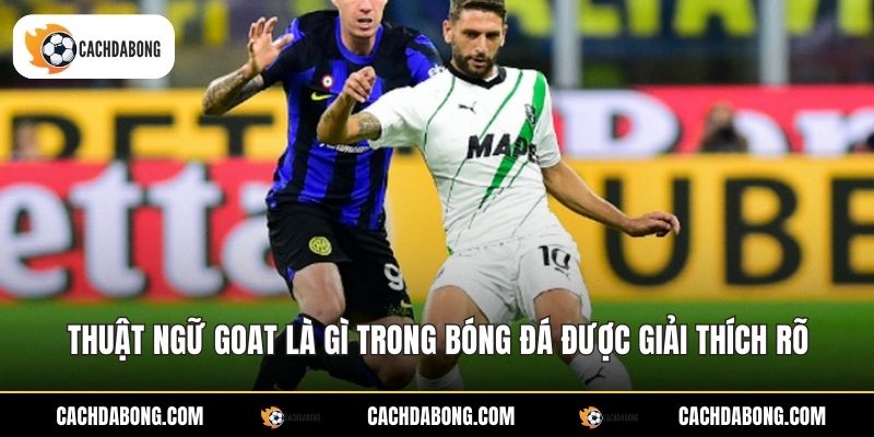 Thuật ngữ goat là gì trong bóng đá được giải thích rõ