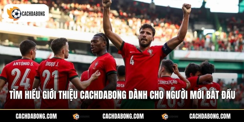 Tìm hiểu giới thiệu Cachdabong dành cho người mới bắt đầu