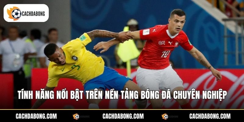 Tính năng nổi bật trên nền tảng bóng đá chuyên nghiệp