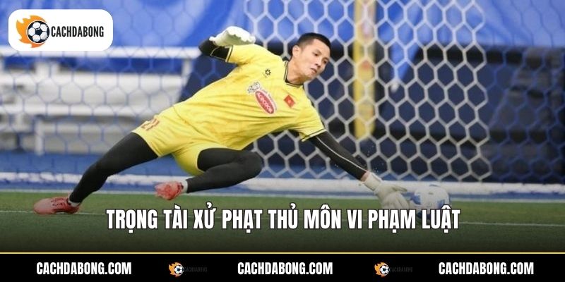 Cú Bắt Bóng Phạm Lỗi - Quy Định Và Cách Xử Lý Chuẩn Xác